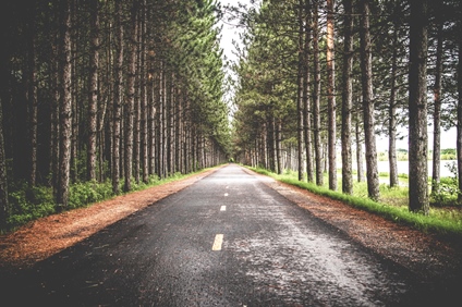 Foto: Sébastien Marchand, unsplash.com. Foto: Sébastien Marchand, unsplash.com.