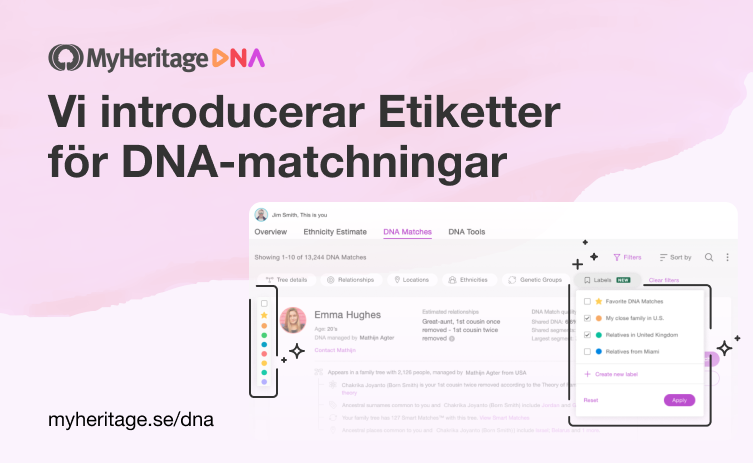 Vi introducerar DNA-etiketter för DNA-matchningar på MyHeritage