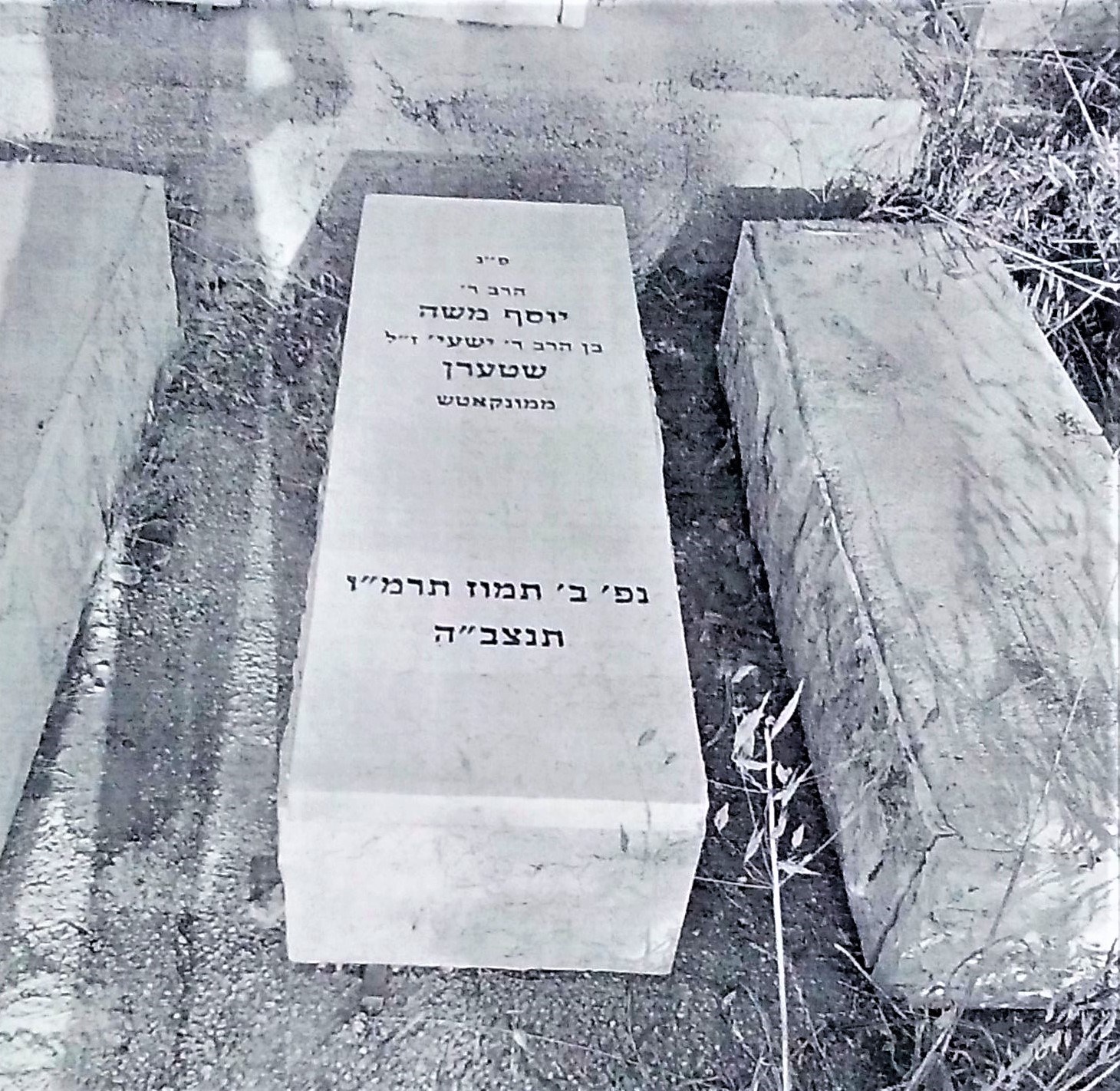 Josef Moshes gravsten
