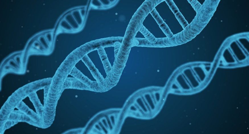DNA-grunderna Kapitel 1: En ny bloggserie