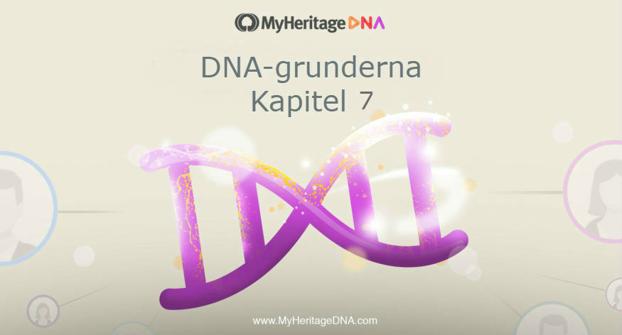 DNA-grunder kapitel 7 – Vanliga missuppfattningar om DNA-testning