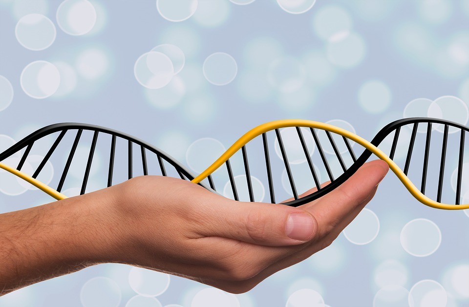 Att kontakta DNA-matchningar är nu gratis!