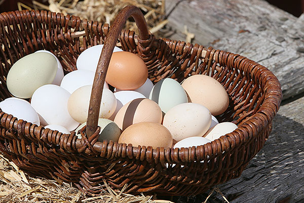 Sedan medeltiden har vi gett varandra ägg i påskpresent. Det var också vanligt att tilldela tjänstefolk ägg förr – allt efter ålder och förtjänst.