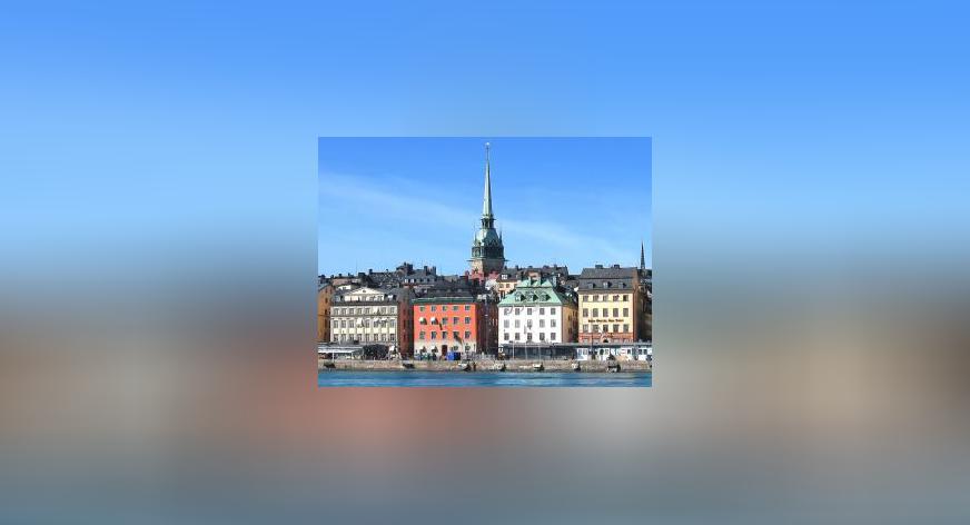 De Svenska Historiedagarna