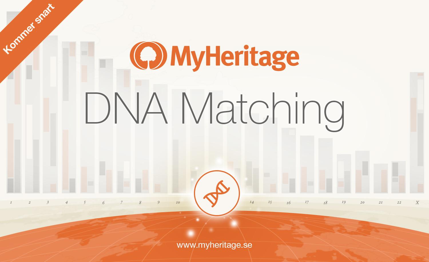 Myheritage Lanserar Gratis Dna Matching Tjanst Myheritage Blogg